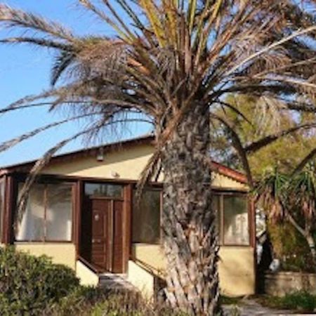 Summerhouse Peggy: Close To Athens Airport By The Sea アルテミダ エクステリア 写真