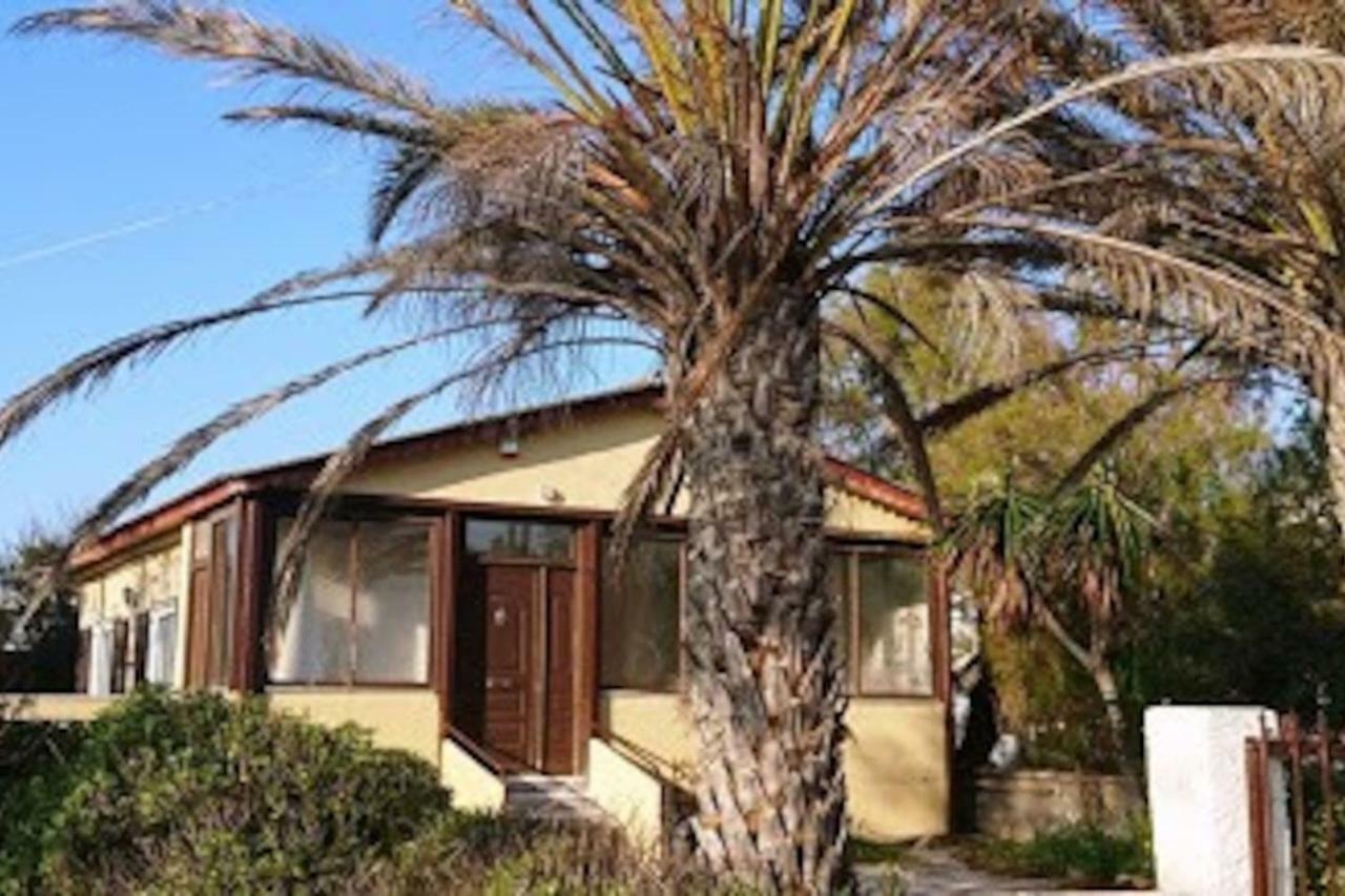 Summerhouse Peggy: Close To Athens Airport By The Sea アルテミダ エクステリア 写真